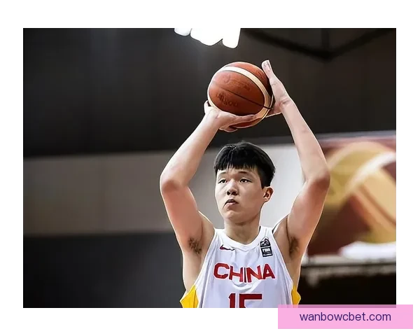 杨瀚森6分4篮板遭恶意抱摔裁判判罚引球迷狂嘘